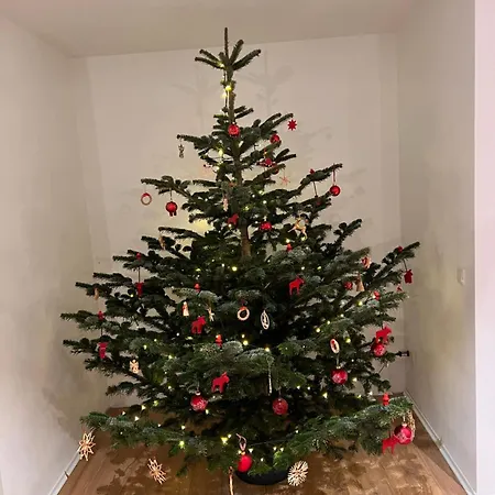 Apartmán Mit Garten In Meyenburg - Keine Monteure