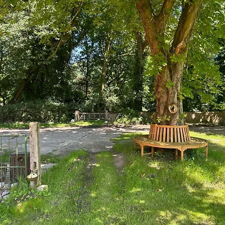 Mit Garten In Meyenburg - Keine Monteure