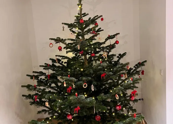 Apartamento Mit Garten In Meyenburg - Keine Monteure