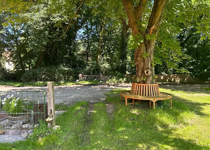 Mit Garten In Meyenburg - Keine Monteure